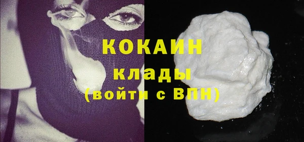 хмурый Вяземский