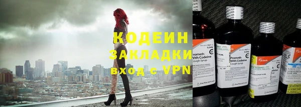 хмурый Вяземский