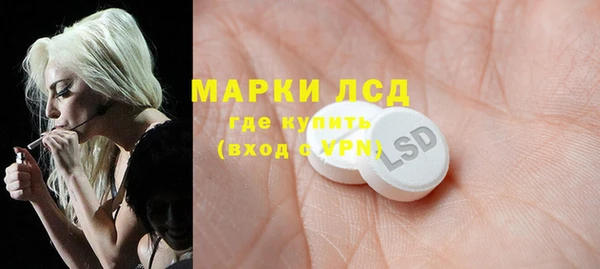 хмурый Вяземский
