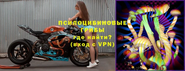 хмурый Вяземский