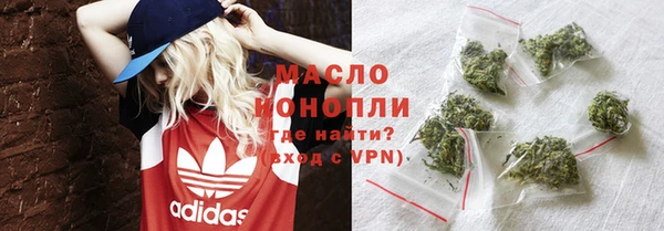хмурый Вяземский