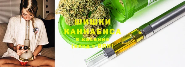 хмурый Вяземский